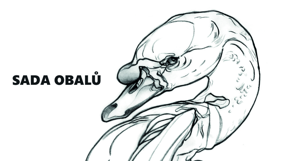 Sada obalů - zkouška