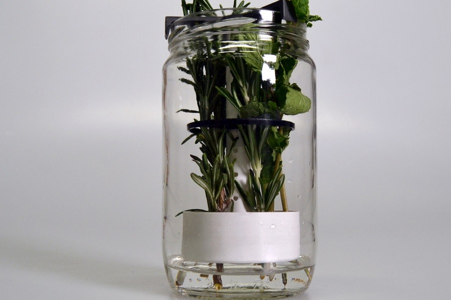 Food Print - Nástavec na bylinky Herb Friendly