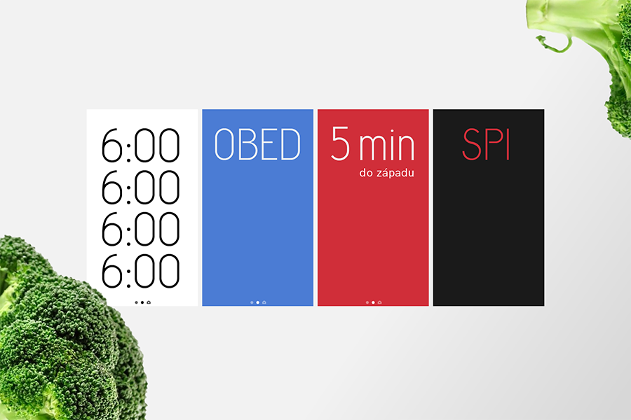 Koncept mobilnej aplikácie