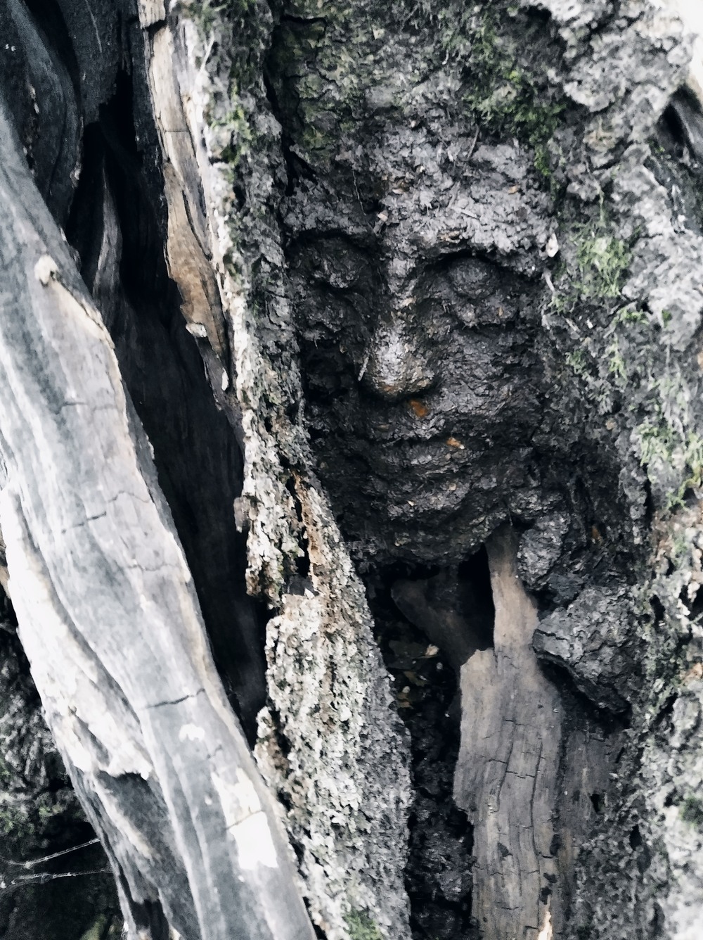 PLENÉR 2021 / PŘEDCI