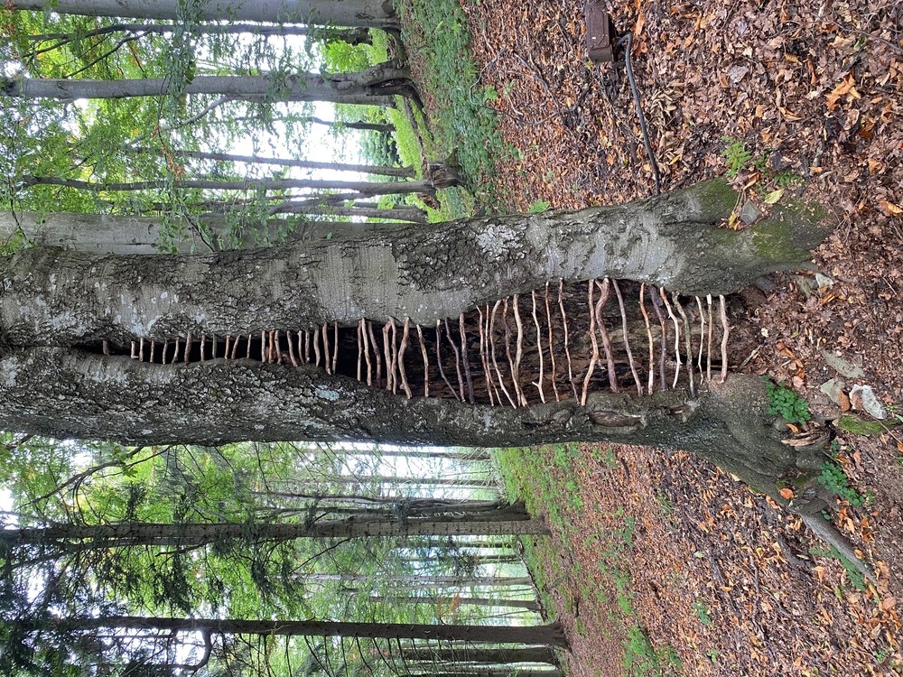 Plenér / 2021 / Breath