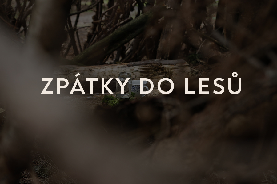 zpátky do lesů