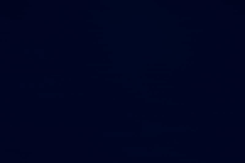 Microsite o fake news