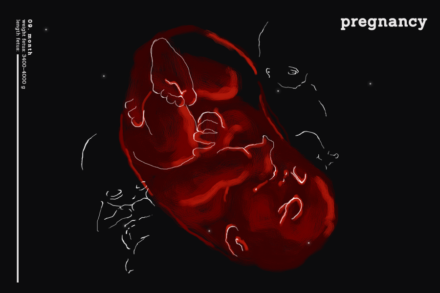 . P R E G N A N C Y .