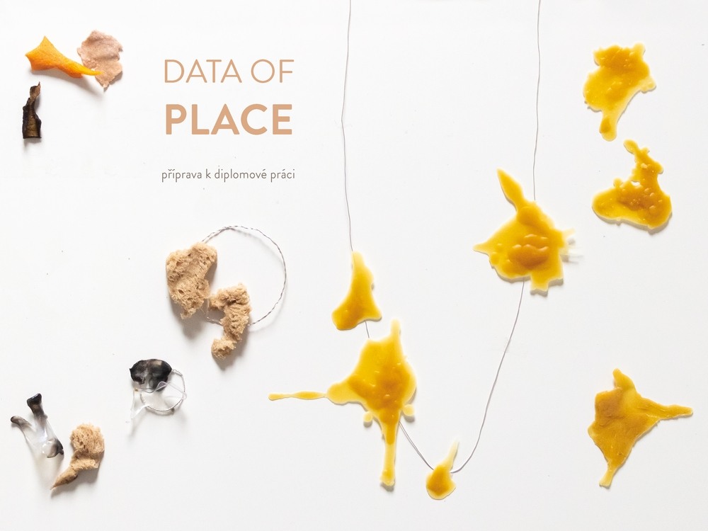 Příprava k diplomové práci