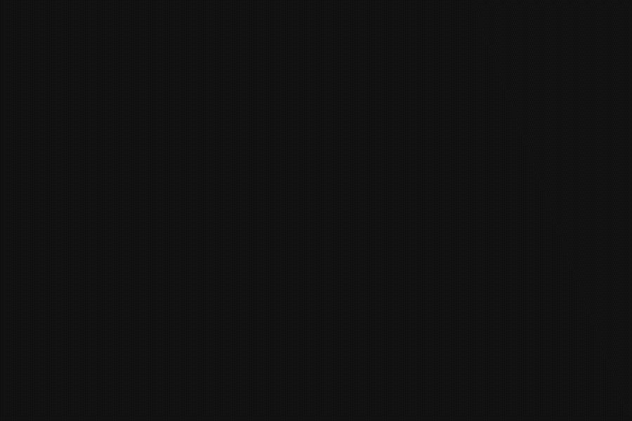 Animovaná typografia