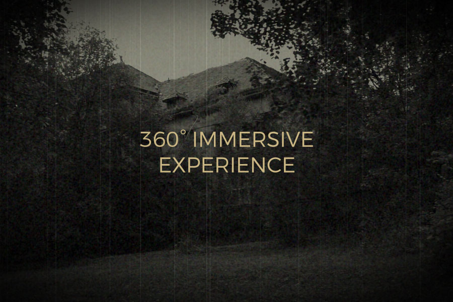 Experience the Madness - 360° Immersive Experience