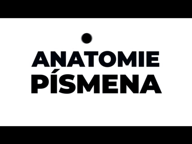 Anatomie písmena