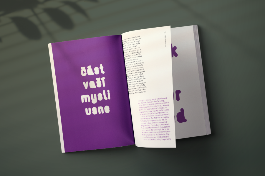 Bilingvní esej + web + knížka do čtečky