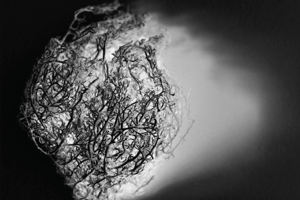 SETKÁNÍ / ENCOUNTER