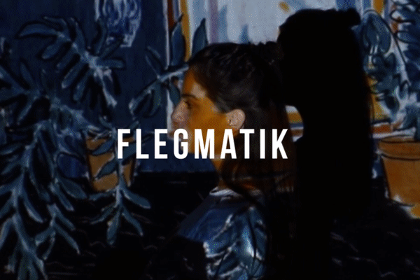 Temperament Fauvismu