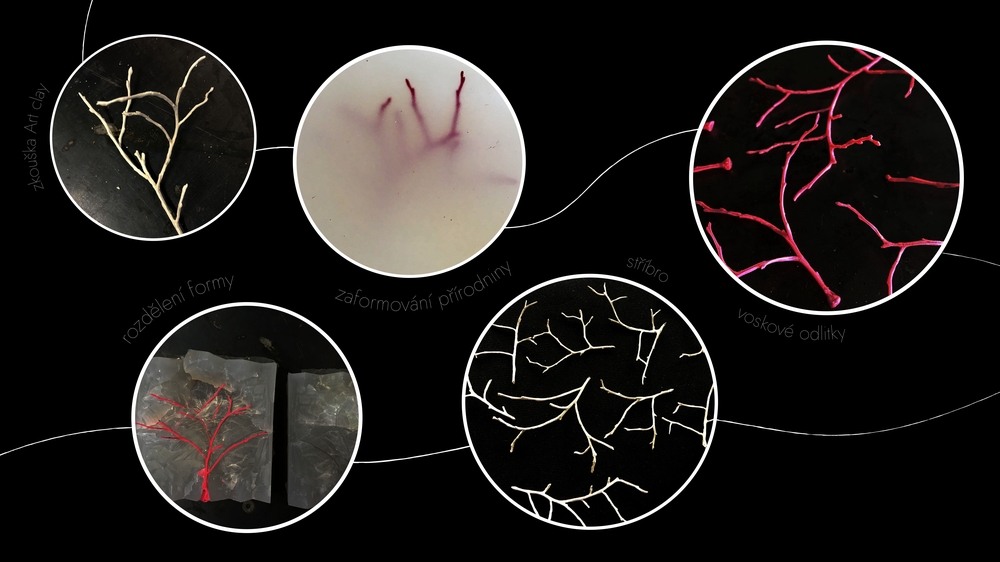 Postup bakalářské práce