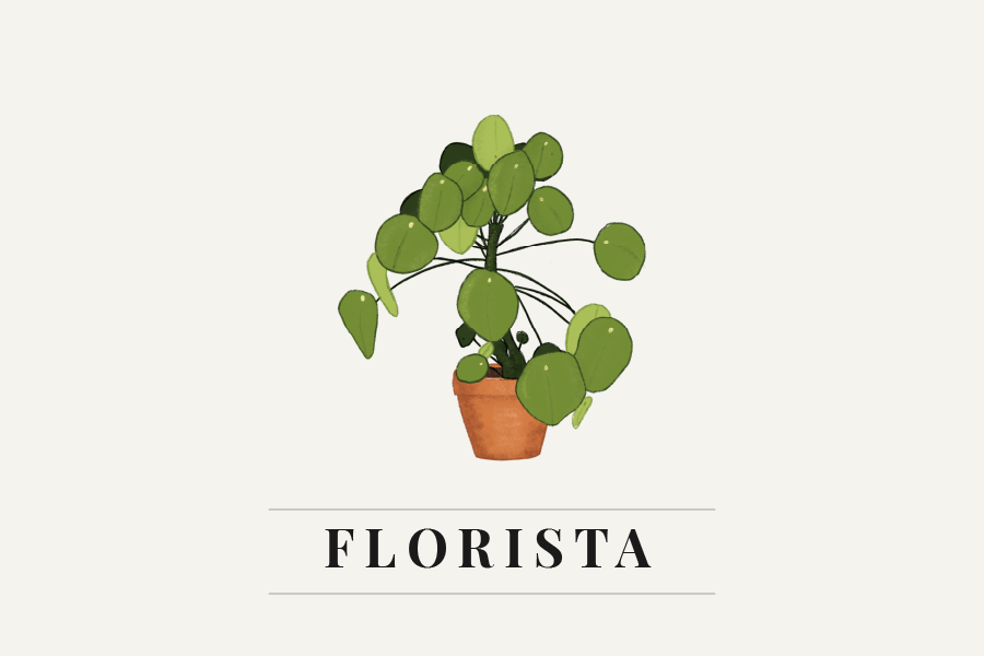 florista_infografika