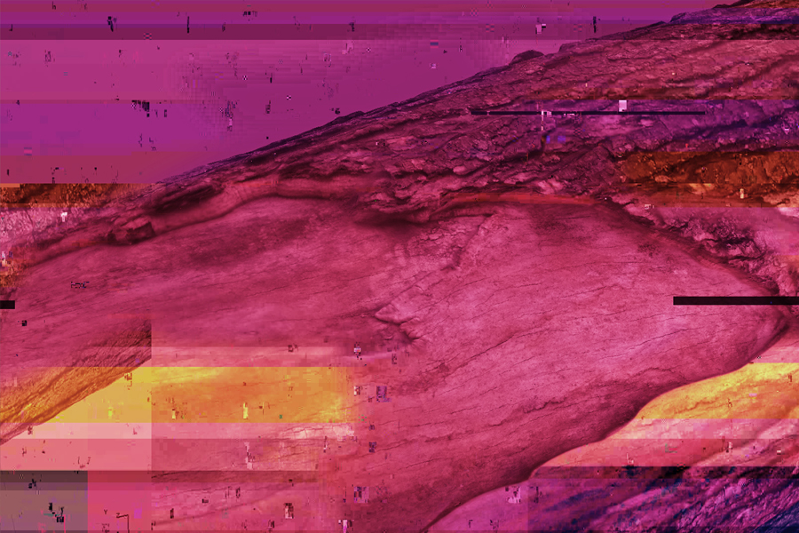 Volný úkol - Photoscan