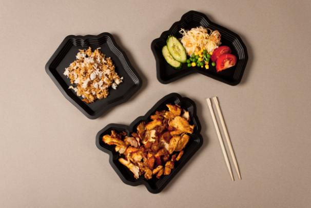 DISPOSABLE FOOD DISH – design and process