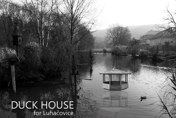 Site-specific design: Duck house