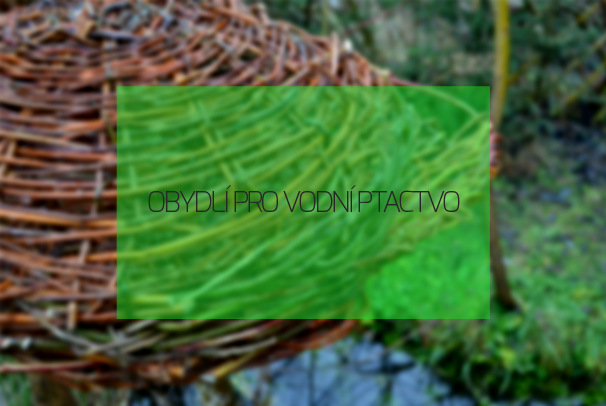 Obydlí pro vodní ptactvo
