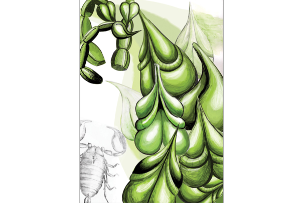 Kresba organického tvaru