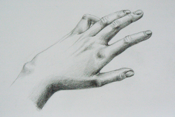 Studijní kresba - ruka