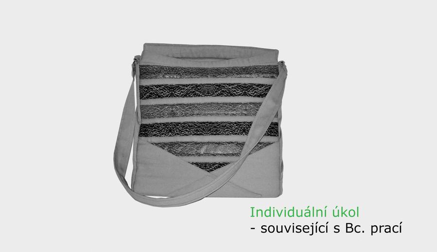 Individuální úkol - související s Bc. prací