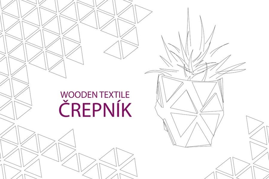 individuální úkol