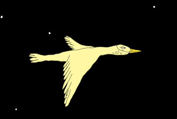 Colours of Ostrava - Trailer