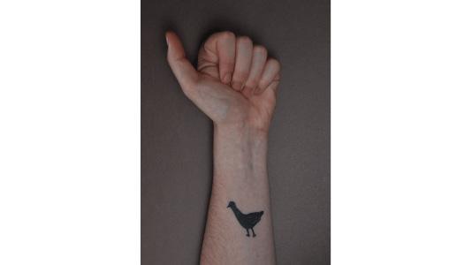 Story about Inkognito Kačora