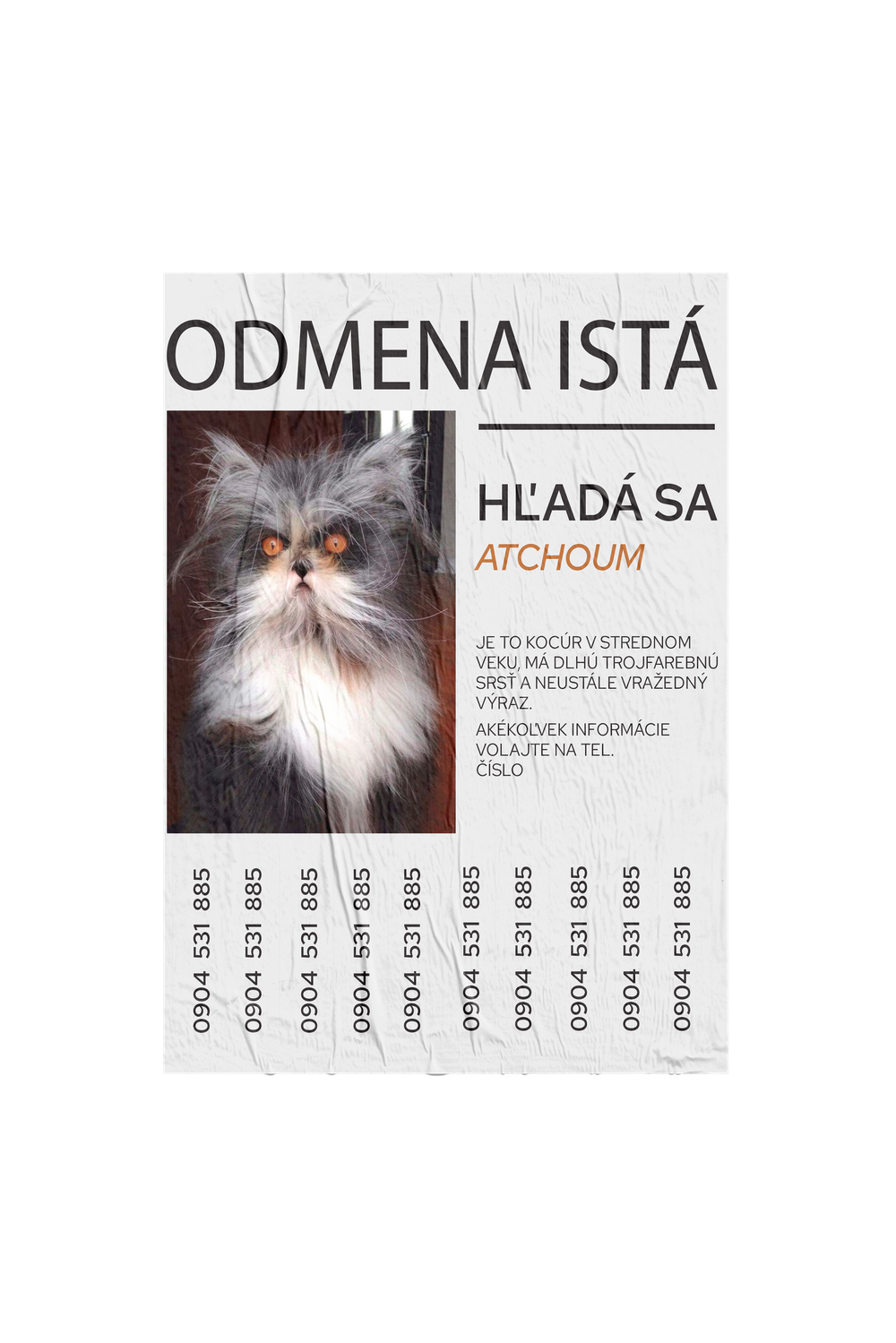 Hľadá sa...