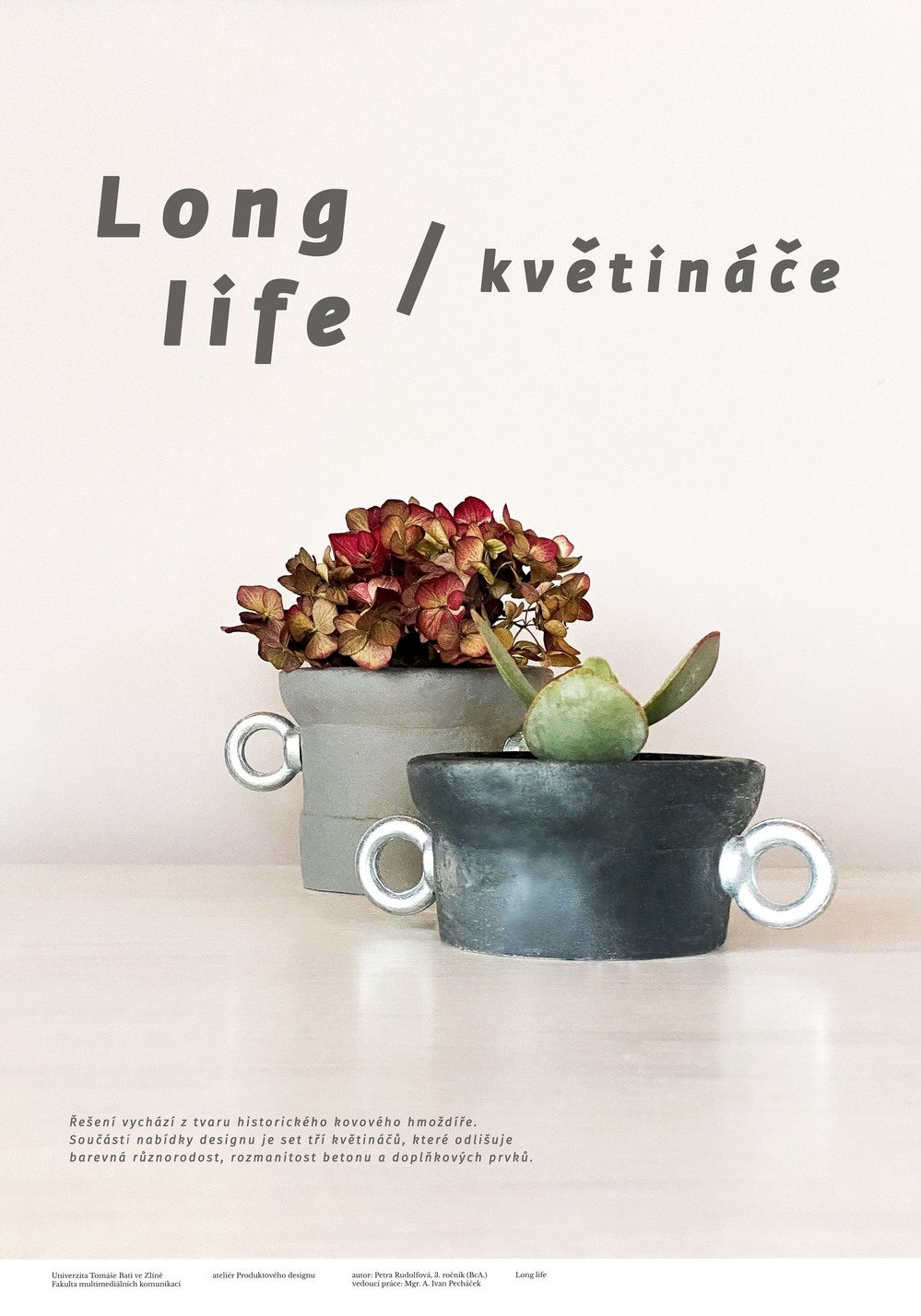 LONG LIFE_02