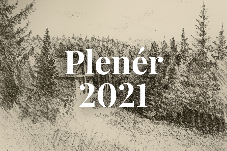 Plenér 2021