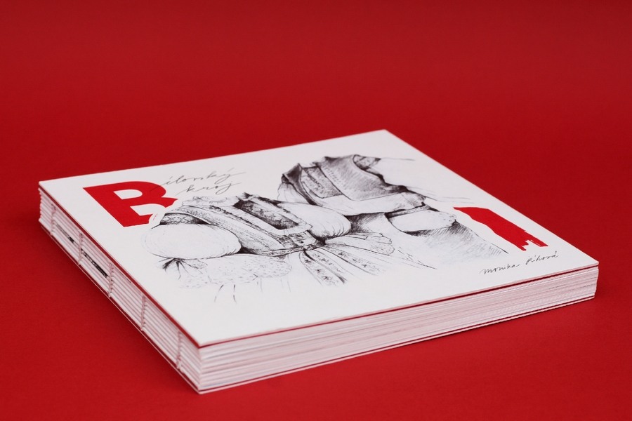 Bílovský kroj | publikace s prvky rozšířené reality