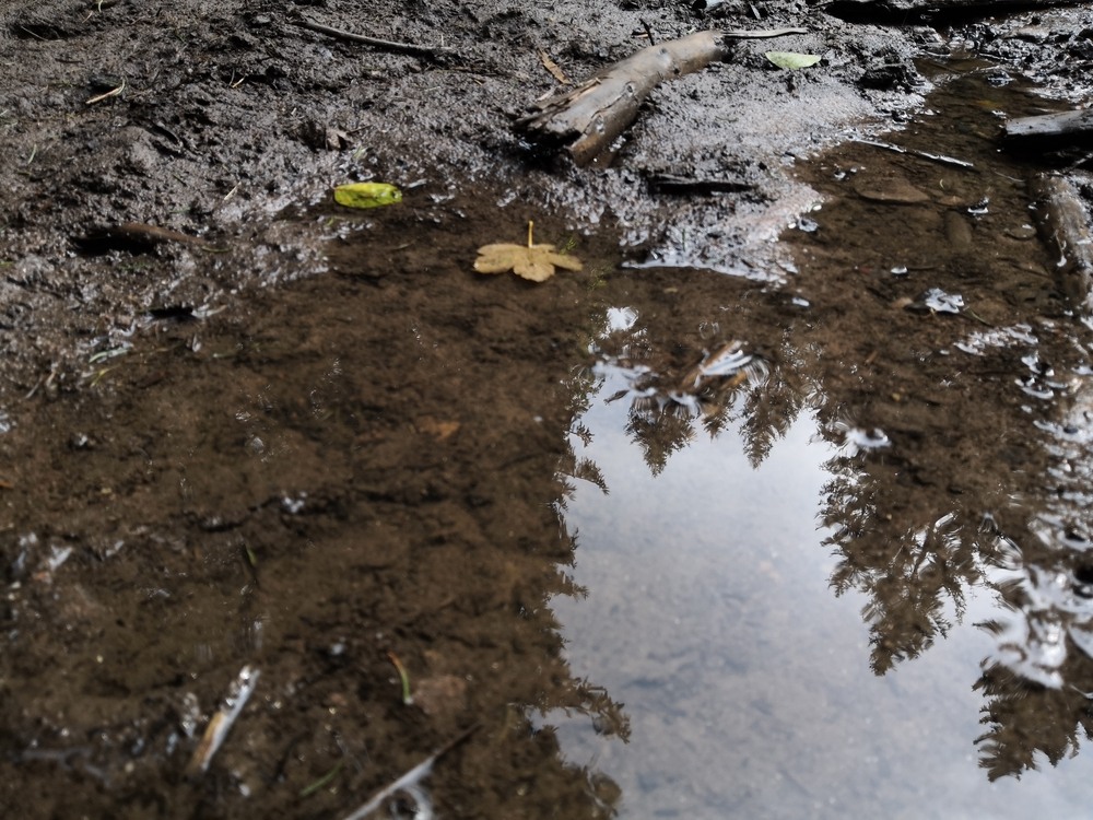 Plenér- Upside Down