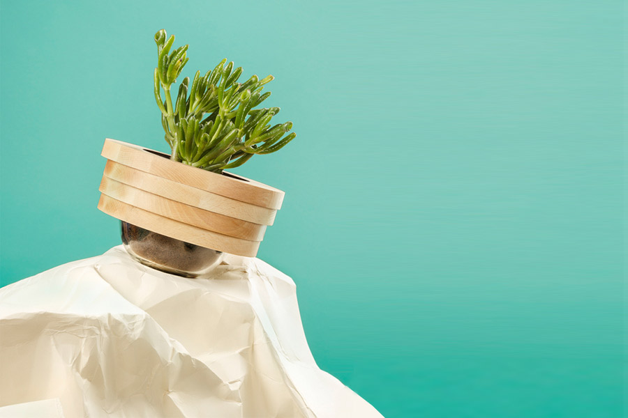 Burnt is the new plant