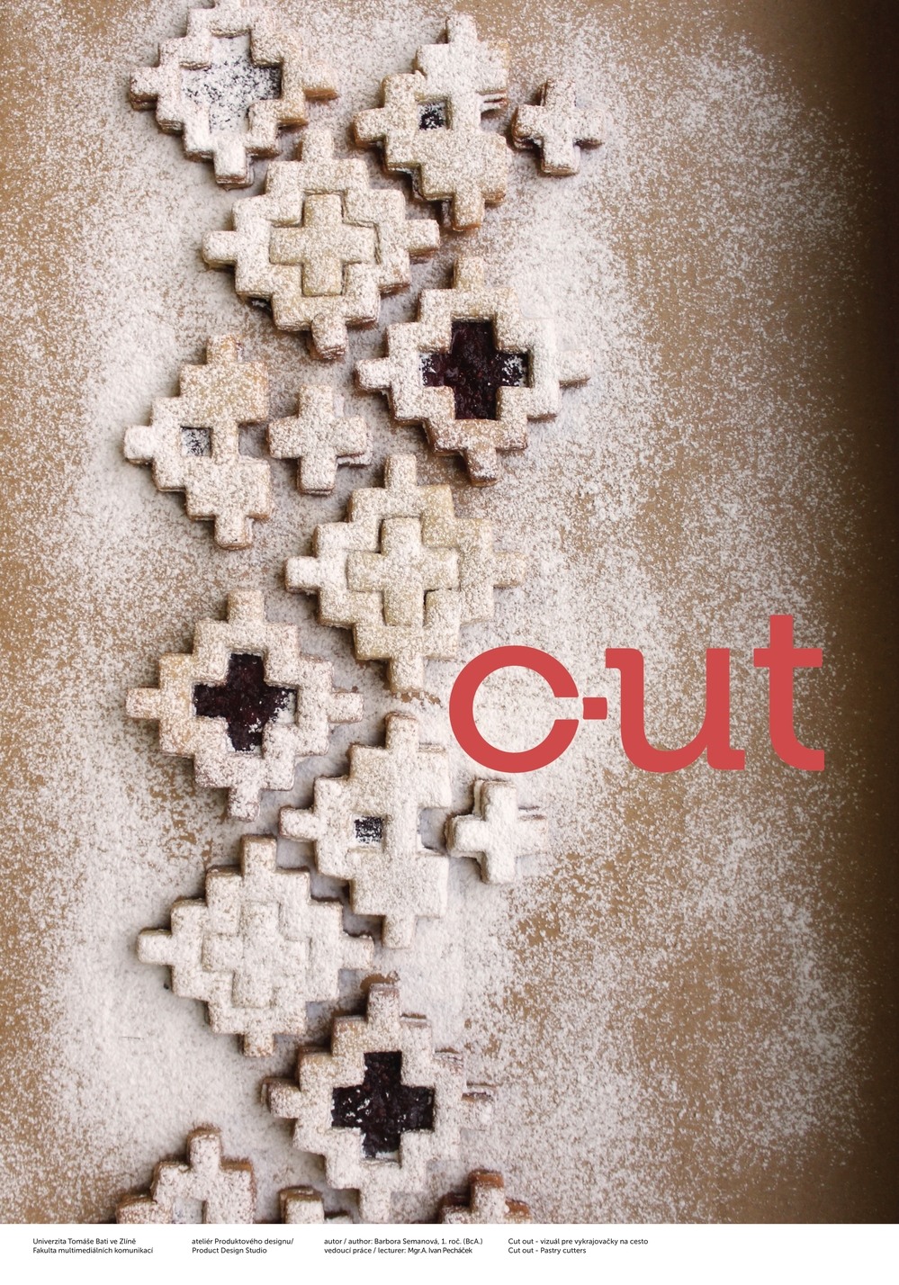 Vizuálna identita c-ut