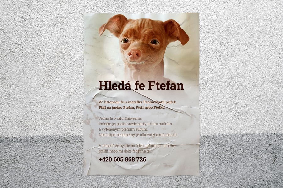 Hledá se Ftefan