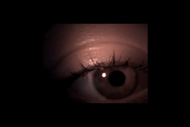 Virtuálna prehliadka – oko