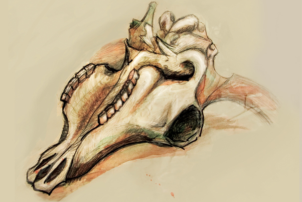 Stylizace organického tvaru - obřadní měděná čepel