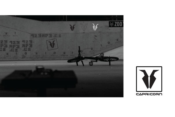 logo freestyle bike Capricorn