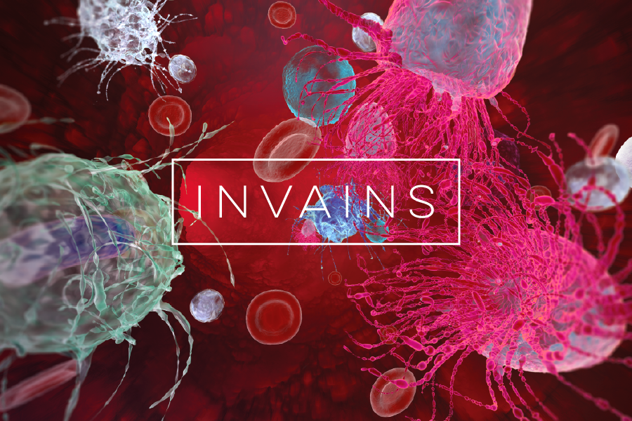 Virtuální prohlídka - InVains