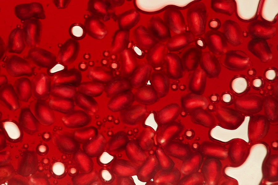 Foodprint / Jedlovastopa