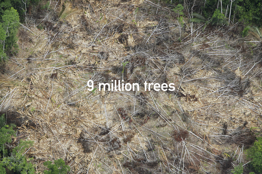 Deforestácia na Slovensku