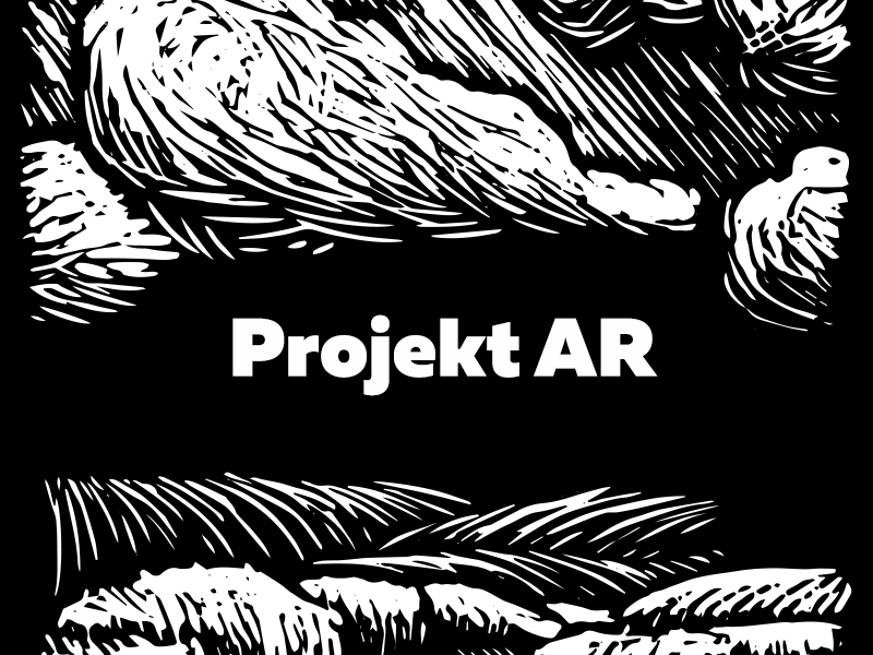 Projekt AR