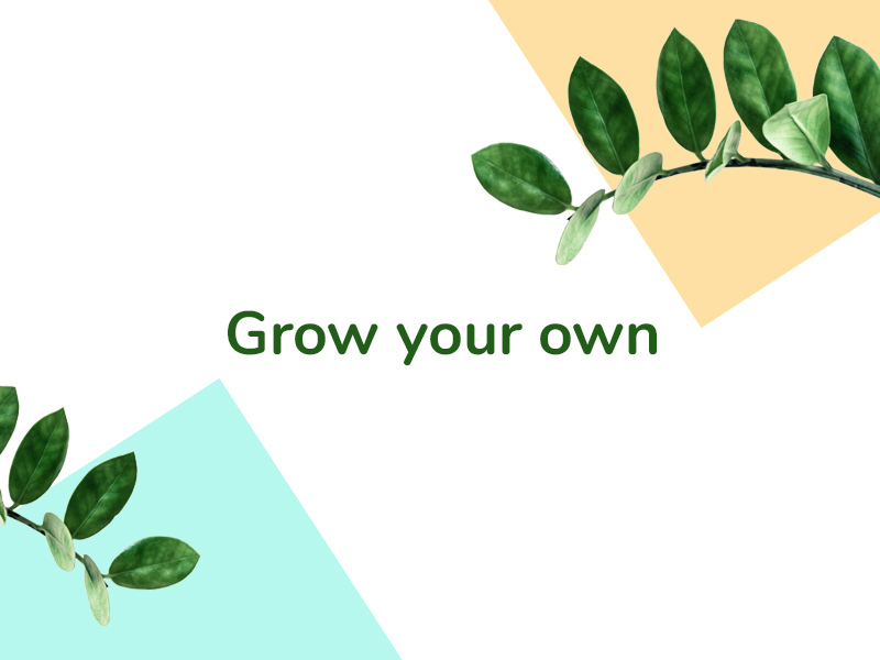 Vypěstuj si - Chytré květináče