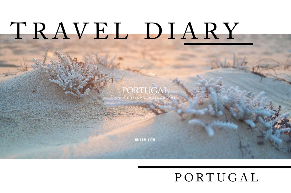 TRAVEL DIARY