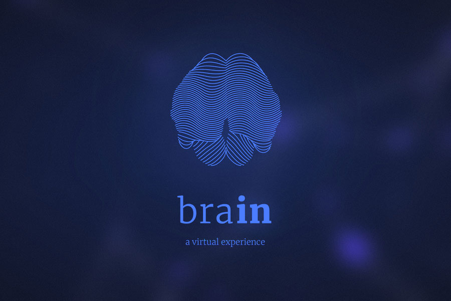 brain / virtuálna prehliadka mozgu