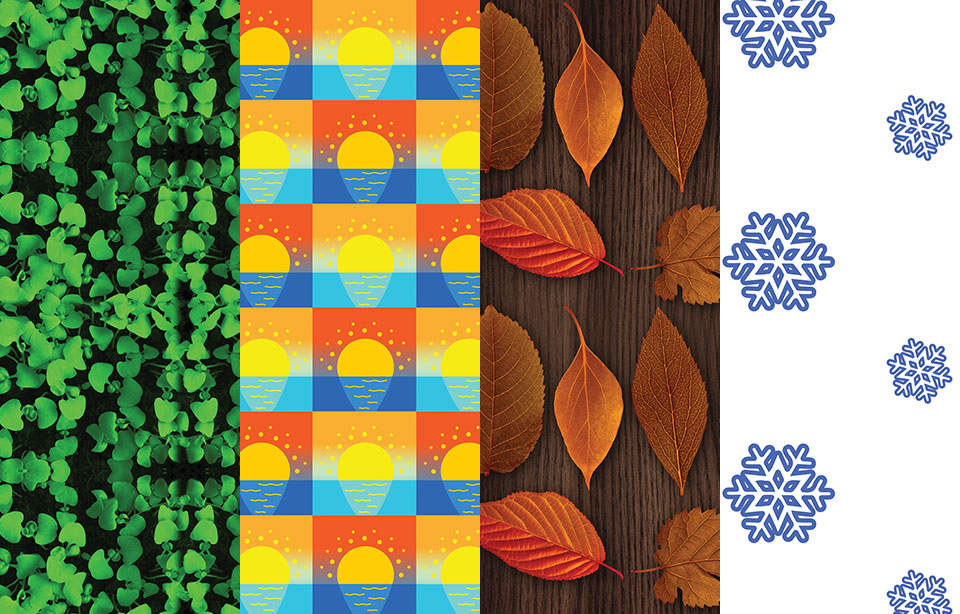 Návrh baliaceho papiera