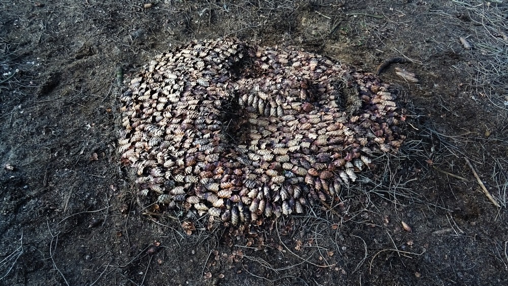 Plenér 2019 – člověk v přírodě