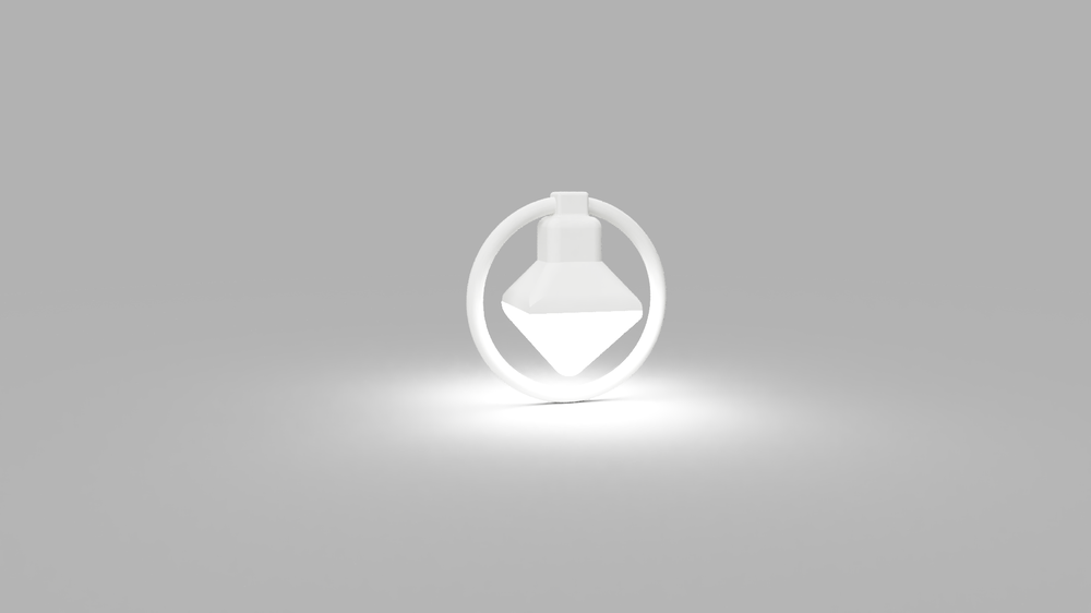 Návrh diplomové práce/ Firefly squid