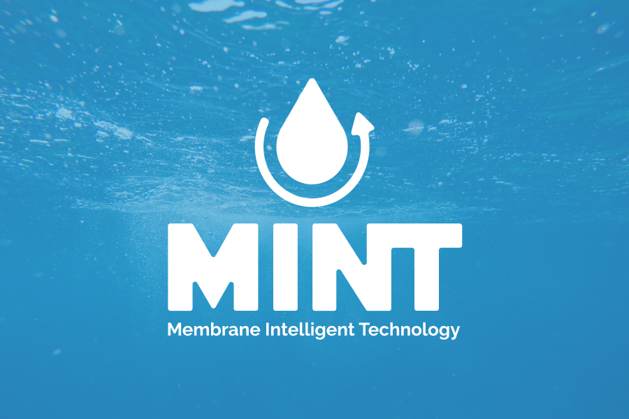 Vizuální identita MINT