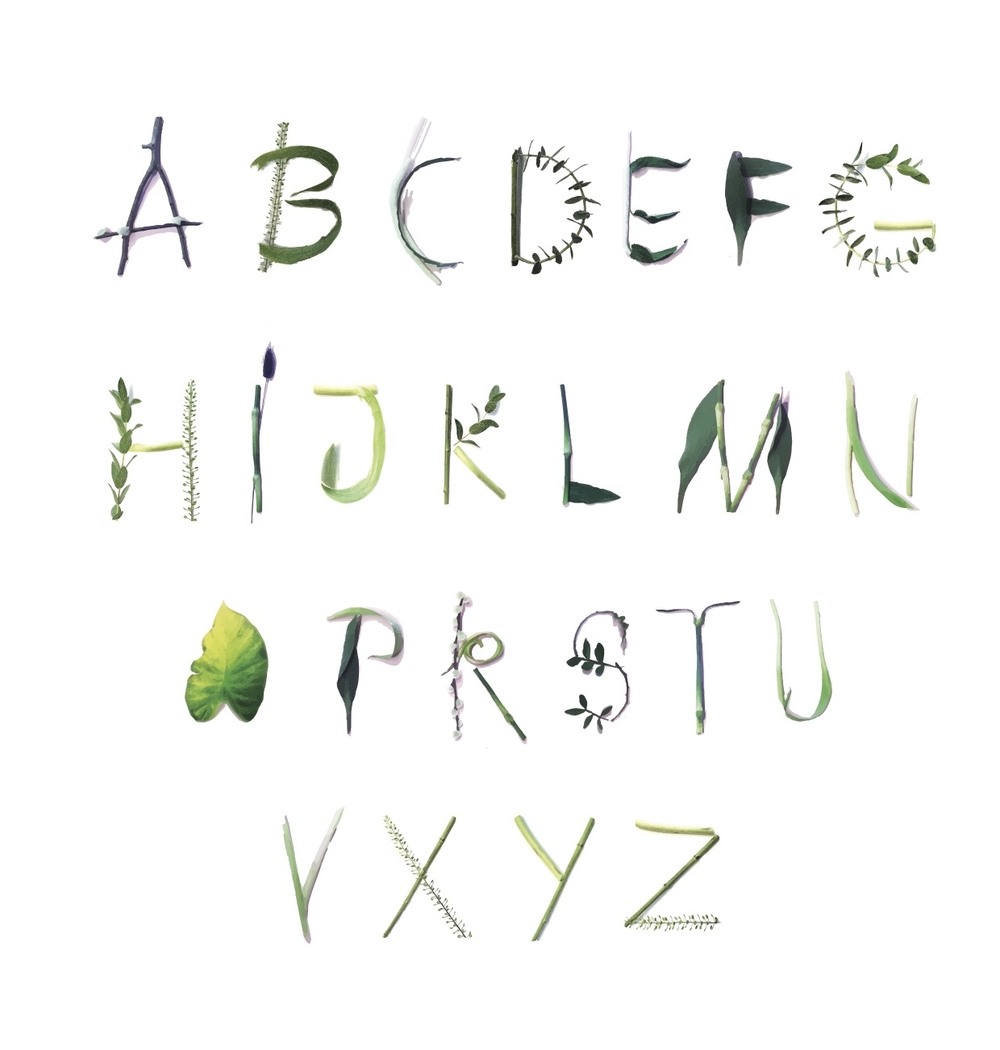 Typografický projekt